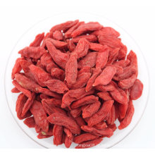 Fruta de perda de peso - Ningxia Wolfberry (bagas de Goji)